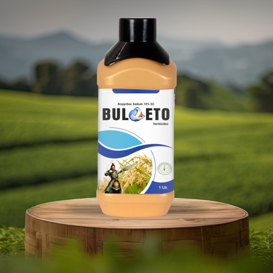 BULOETO Updated