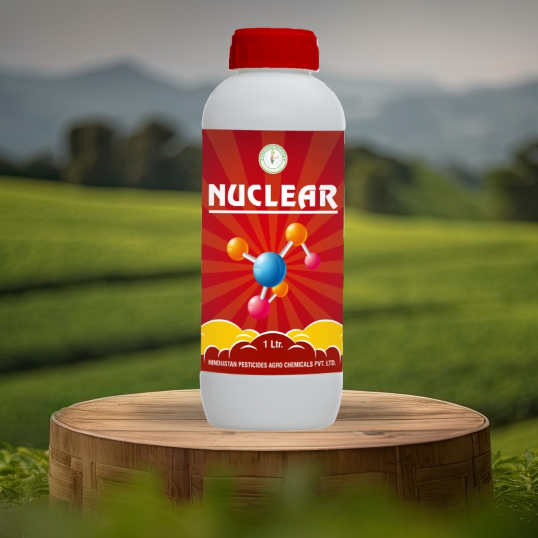 NUCLEAR Updated